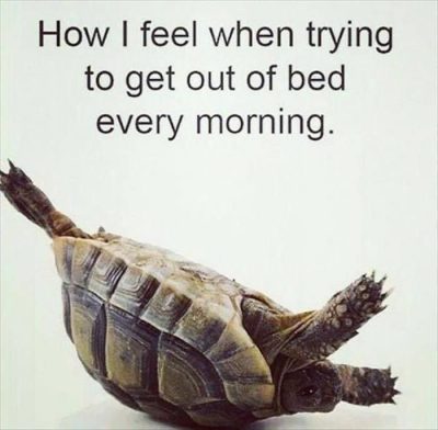Get out of bed