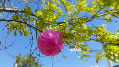 pink-ribbon-morning-tea