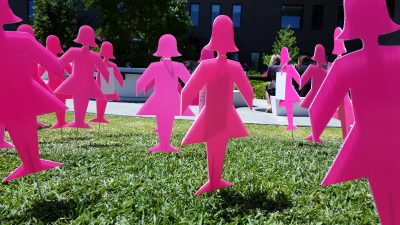 planting the pink ladies